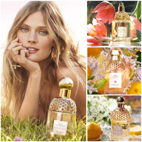 法國 Guerlain Aqua Allegoria Nettare di Sole for Women 花草水語白花蜜露 EDT 75ml (early Oct)